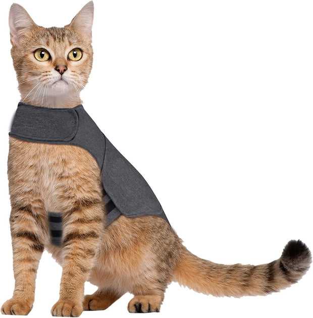 Pet Dog Clothing Cat Vest Summer