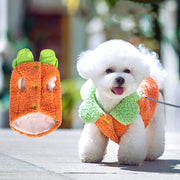 Korean Style Lotus Leaf Lace Warm Pet Clothes